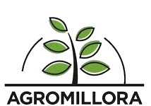 Agromillora